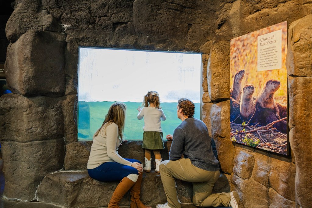 19-medium (1) A family looks through a glass window at a river otter exhibit in an aquarium in Central Oregon.
