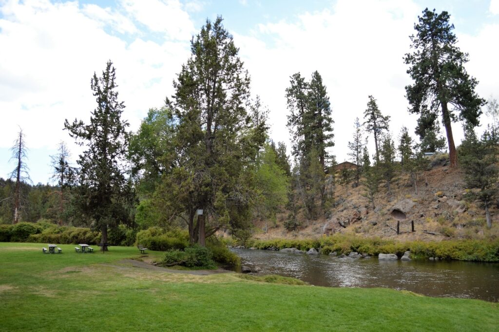 Picnic tables under the trees at Tumalo State Park near Bend, Oregon.