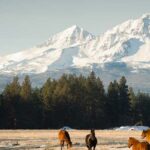 Mountain View with horses