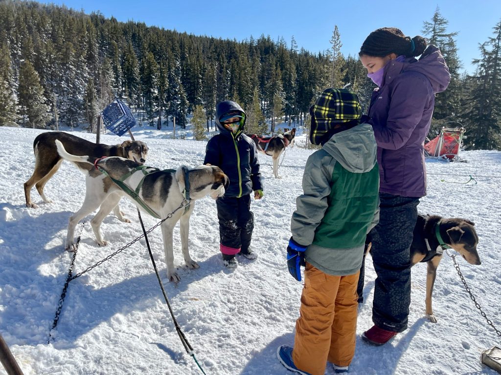 Dog Sledding on Oregon’s Mt. Bachelor article photo