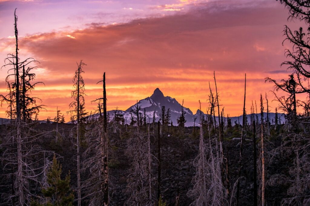 Mckenzie Pass_3-medium Mt. Washington Peak