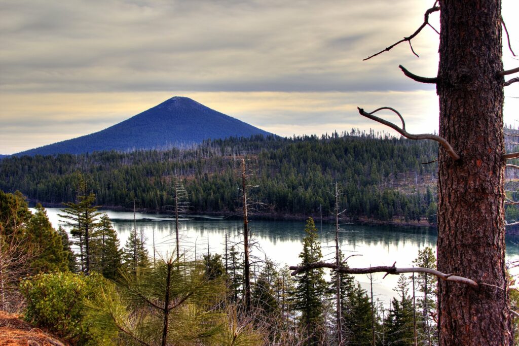 A serene landscape featuring a lake surrounded by dense forest, with a towering mountain in the distance in Central Oregon.