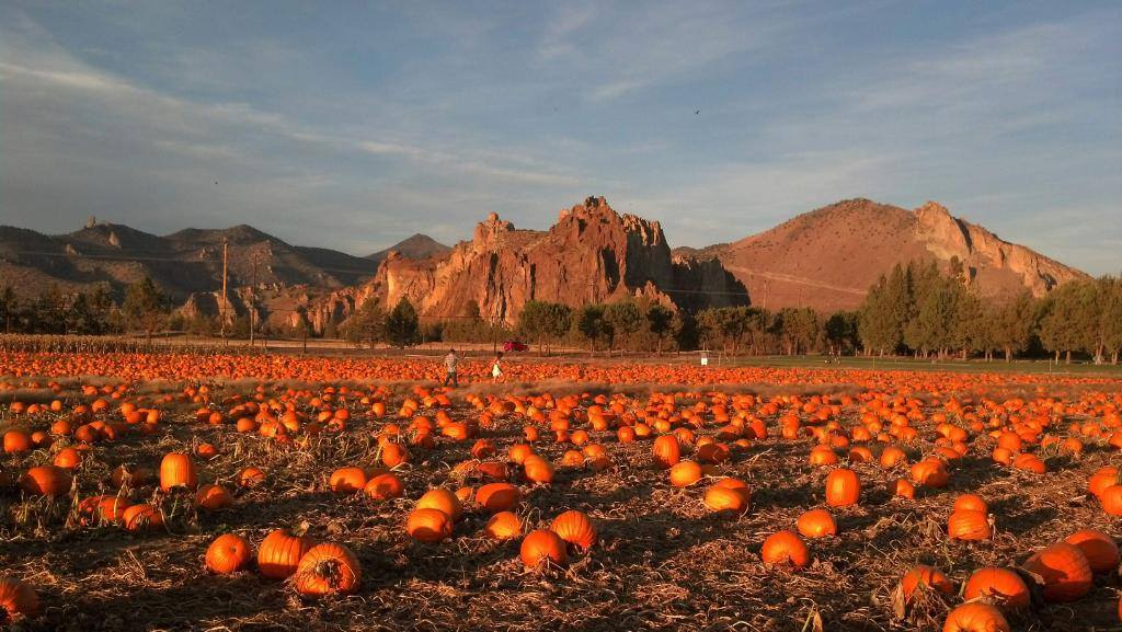 Smith Rock Ranch pumpkin patch at Sunset
