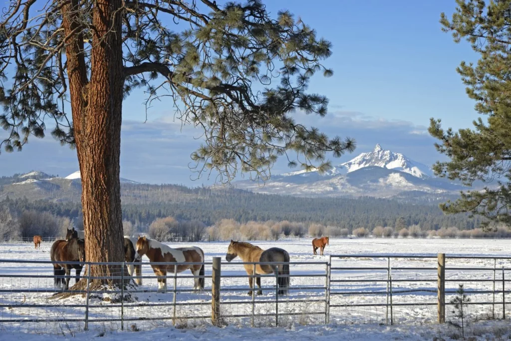 A child pets a horse while a woman on horseback looks on at Black Butte Ranch near Sisters, Oregon.