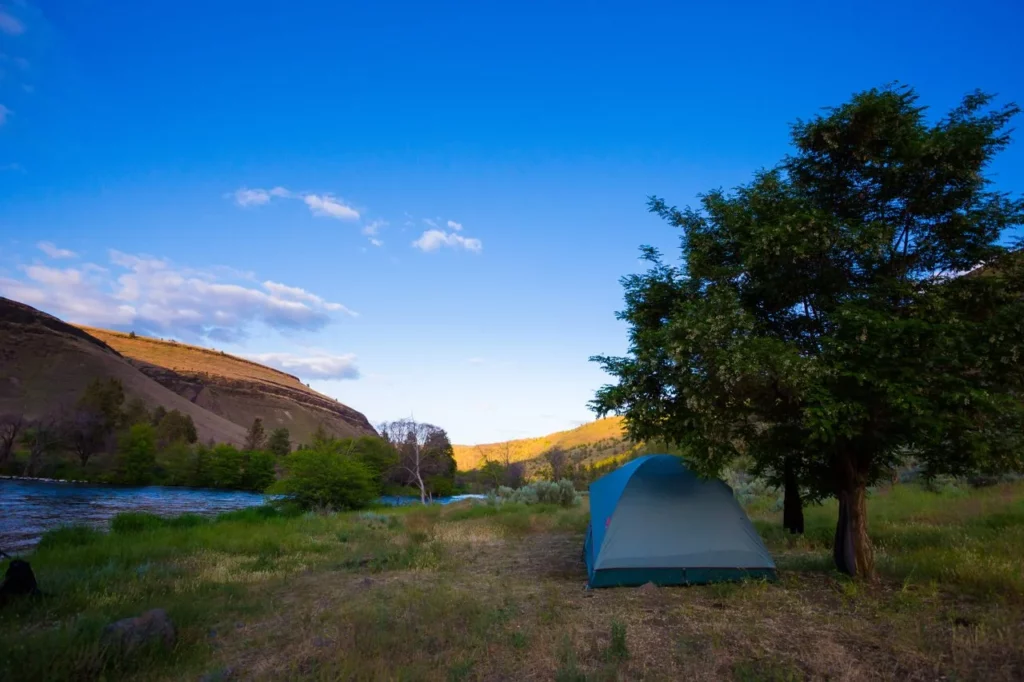 A tent under a tree by a river.