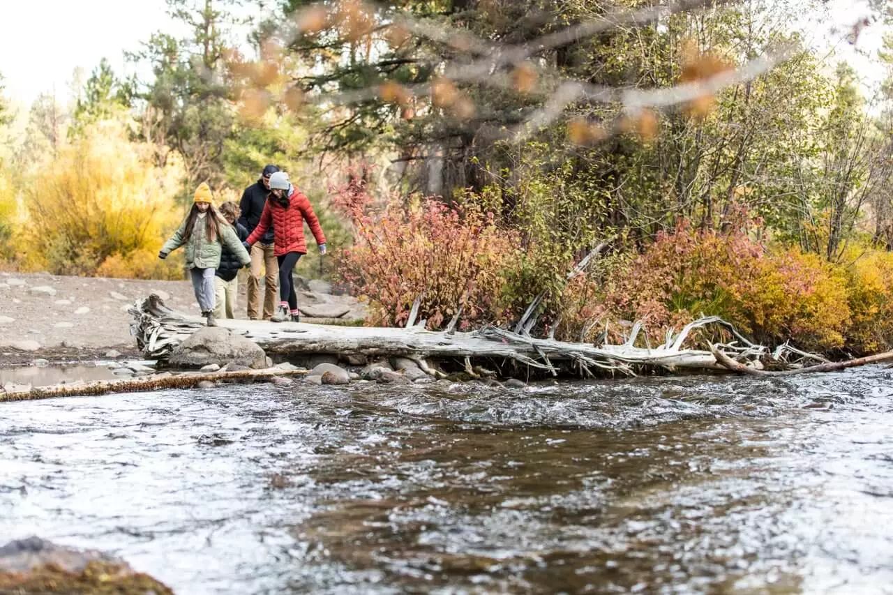 Hiking at Shevlin Park