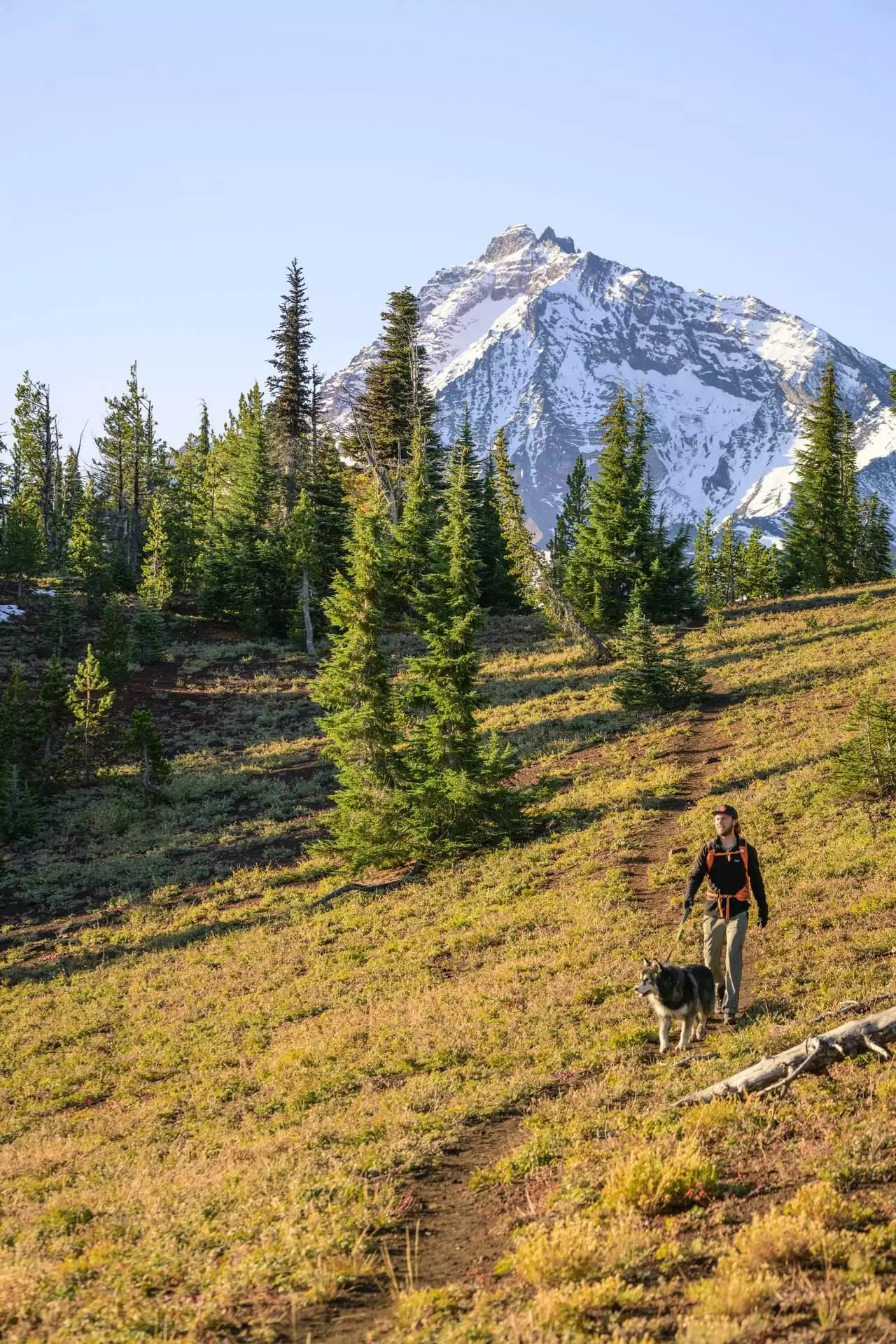 a man and his dog walking down the trail with a mountain peak behind