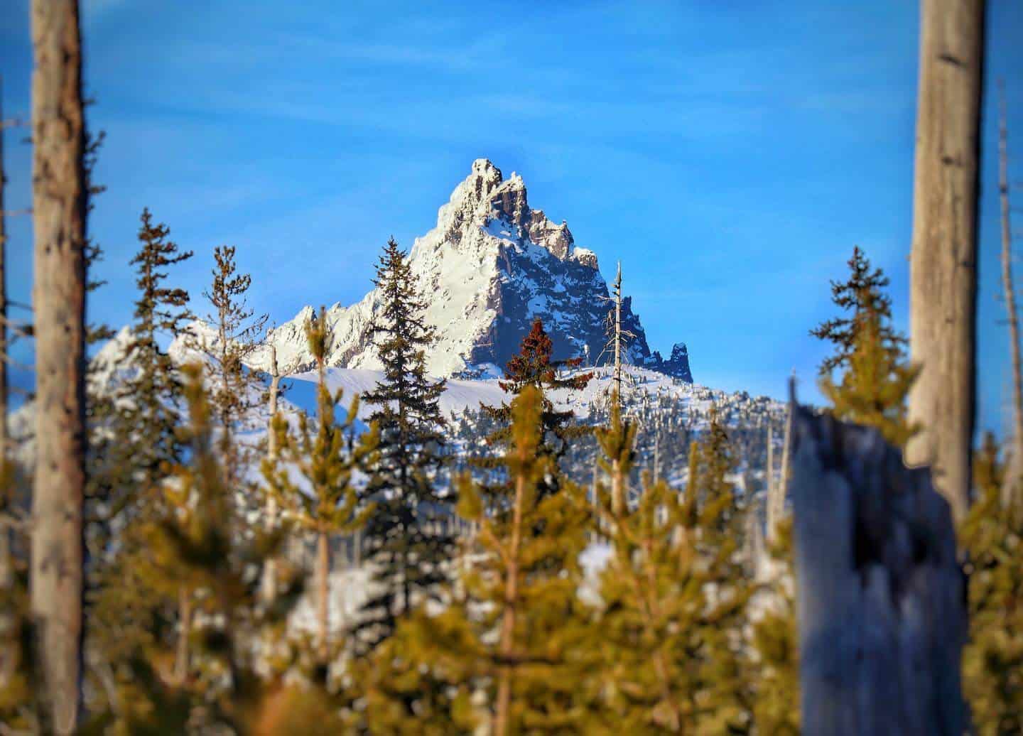 oregonecology Instagram 2465-ig-17935190380911638