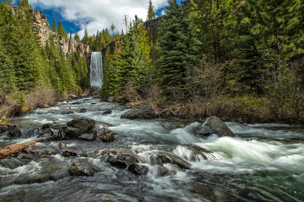 A majestic waterfall cascading through a lush forest, surrounded by towering trees and a rushing river in Central Oregon.
