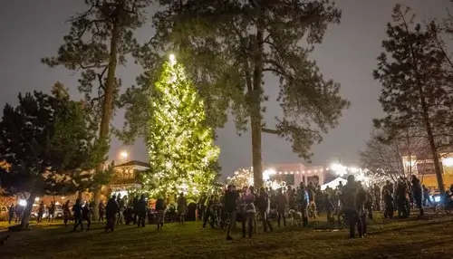 A vibrant Christmas tree illuminated at night, surrounded by a festive crowd in a park setting in Central Oregon.