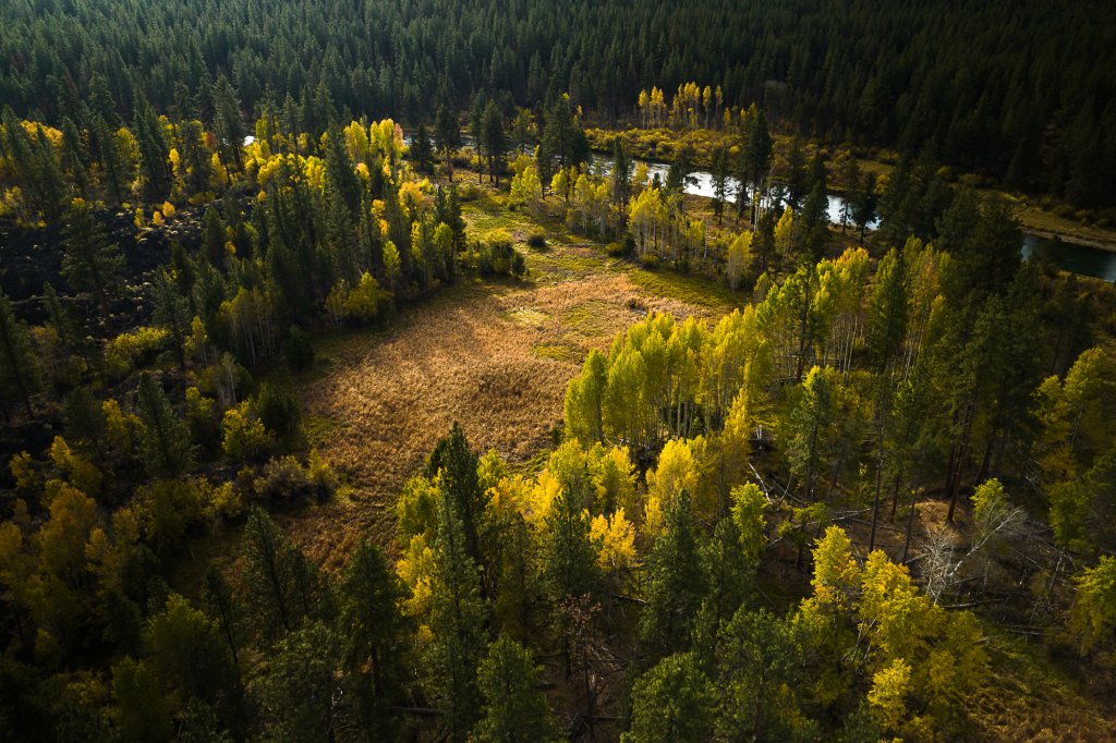 An aerial view of a river winding through a forest with autumn foliage in Central Oregon.