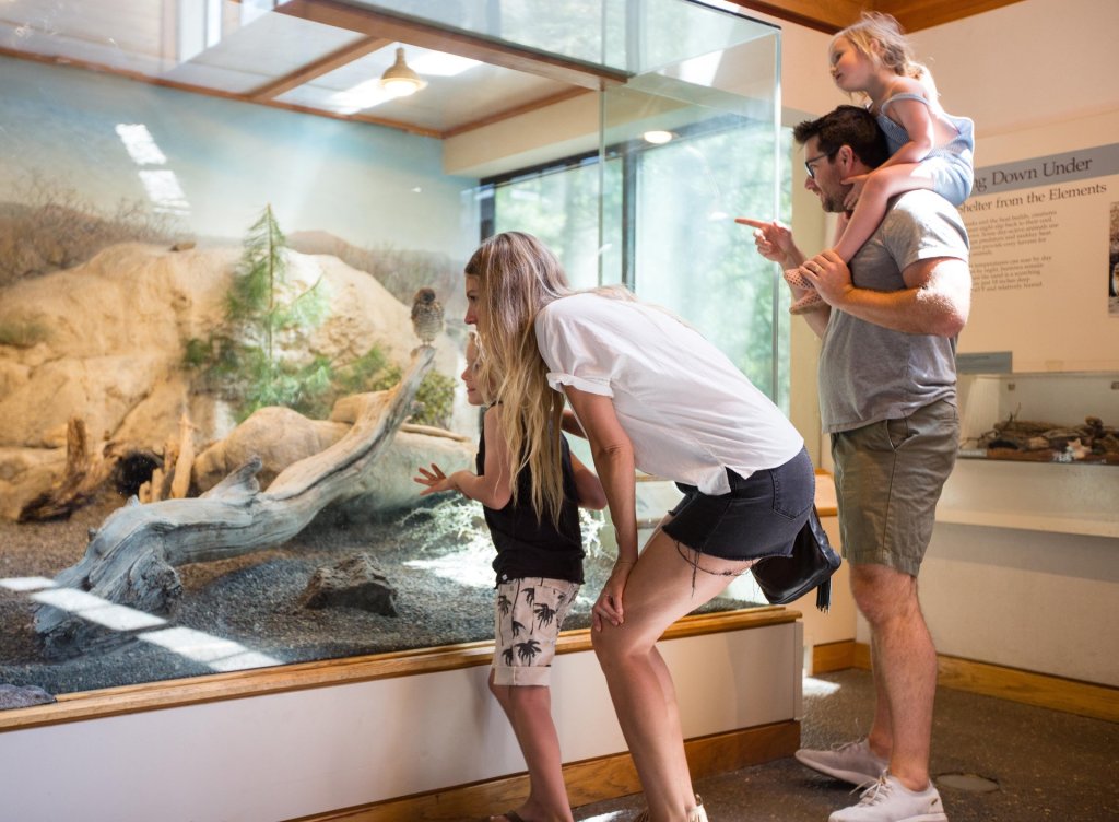 A family explores a natural history exhibit, with a child pointing at an owl in a terrarium in Central Oregon.