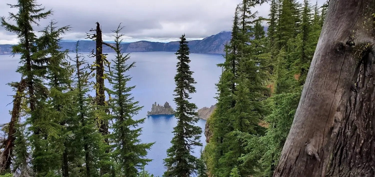 A serene forest scene with tall trees, a lake, and distant mountains under a cloudy sky in Central Oregon.