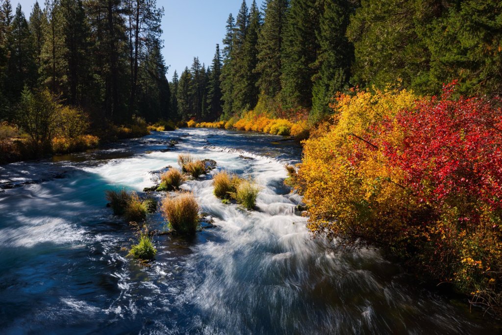 Metolius River in the fall