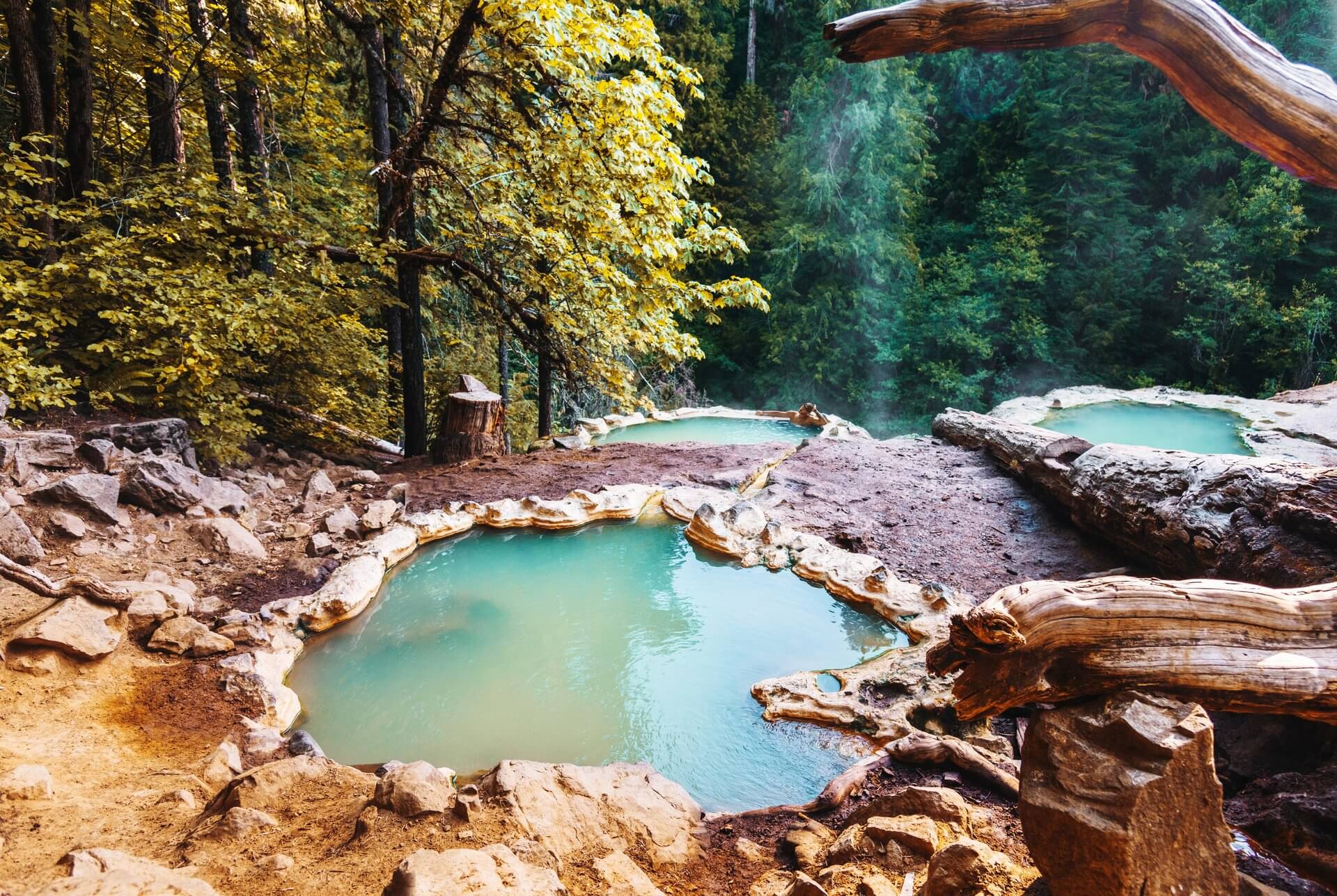 Natural hot springs surrounded by lush forest, emitting steam in Central Oregon.
