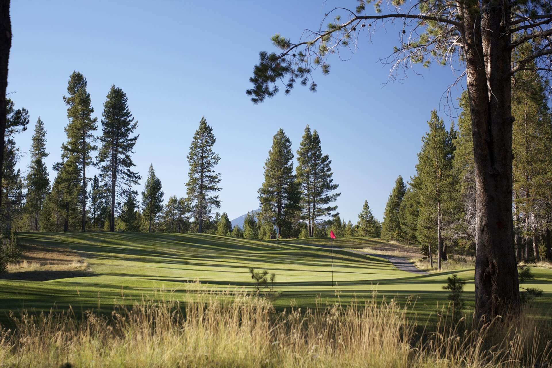 A serene golf course with lush green fairways, tall trees, and a distant mountain range under a clear blue sky in Central Oregon.