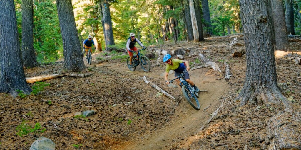 Three mountain bikers navigate a forest trail, surrounded by tall trees and fallen logs in Central Oregon.