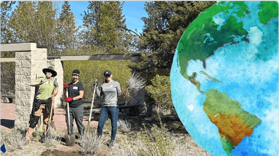 Three people are planting trees in a lush forest, surrounded by nature in Central Oregon.