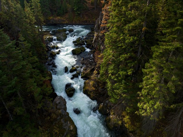 A rushing river cascades through a lush forest, forming white foam as it tumbles over rocks in Central Oregon.