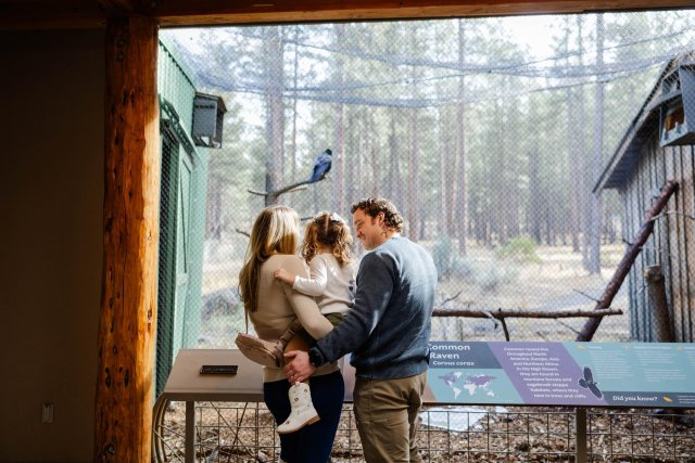 A family of three, a man, a woman, and a child, are observing a bird in a bird sanctuary in Central Oregon.