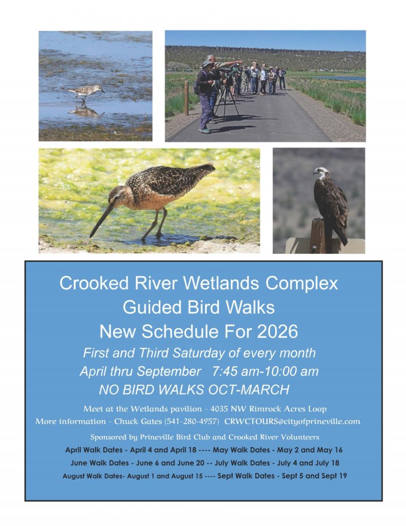 Crocked River Wetlands Complex guided bird walks schedule for 2026 in Central Oregon.