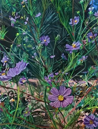 A vibrant garden filled with lush green foliage and clusters of delicate purple flowers with yellow centers in Central Oregon.
