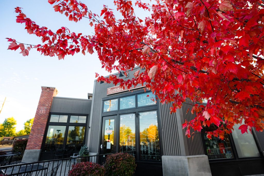 A charming coffee shop with a vibrant red maple tree in front, set against a clear blue sky in Central Oregon.