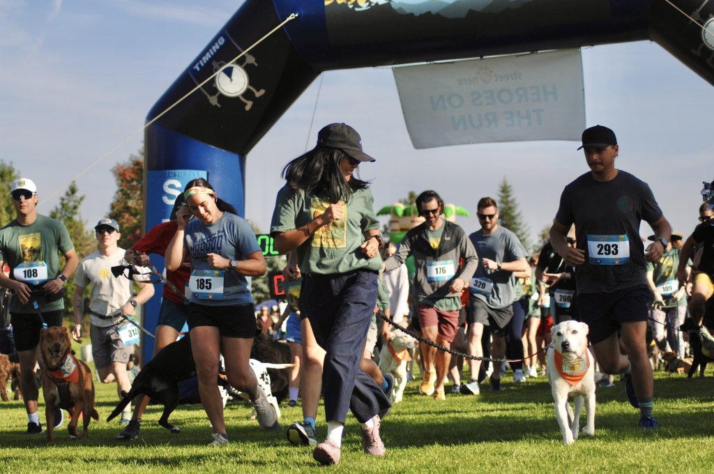 A vibrant dog run event with participants and their dogs racing through a grassy field under a large archway in Central Oregon.