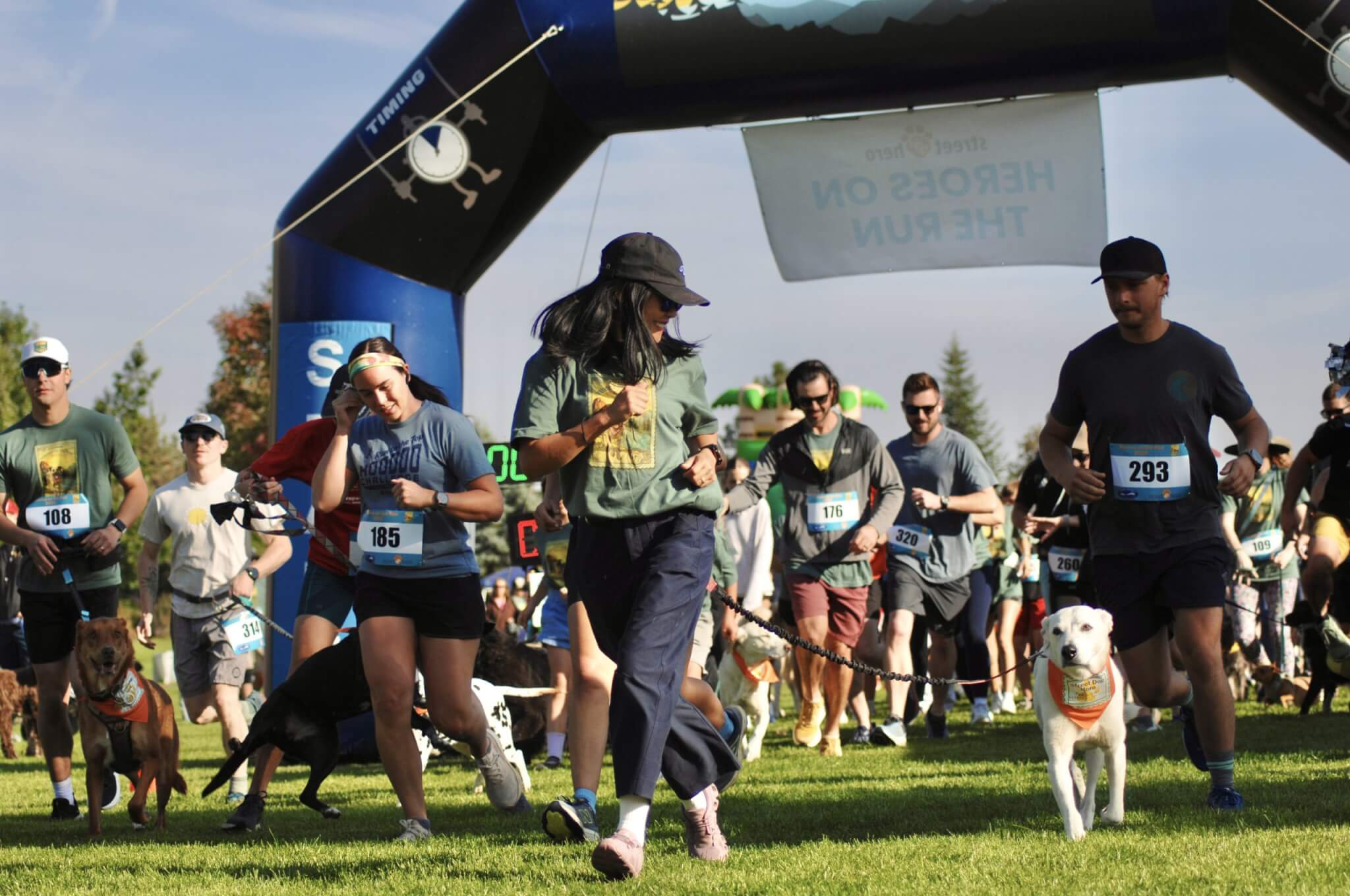 A vibrant dog run event with participants and their dogs racing through a grassy field under a large archway in Central Oregon.