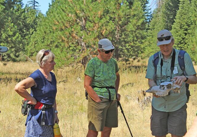 Three hikers examine a deer skull in a grassy meadow surrounded by tall trees in Central Oregon.