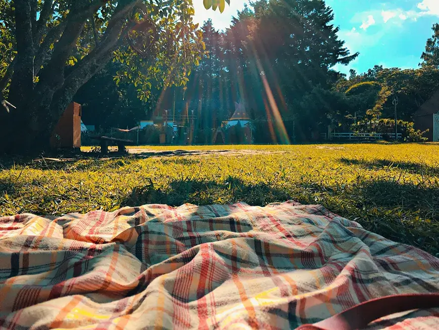 A colorful plaid blanket spread out on a lush green lawn, with sunlight filtering through the leaves of a nearby tree in Central Oregon.