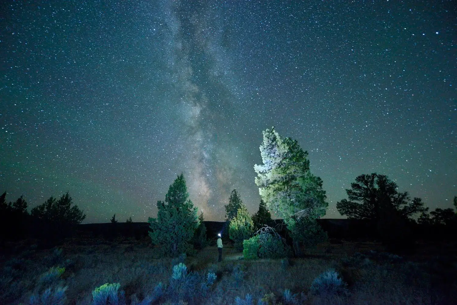A lone hiker stands under the Milky Way, illuminated by a flashlight, amidst a starry night sky and a desert landscape dotted with trees in Central Oregon.