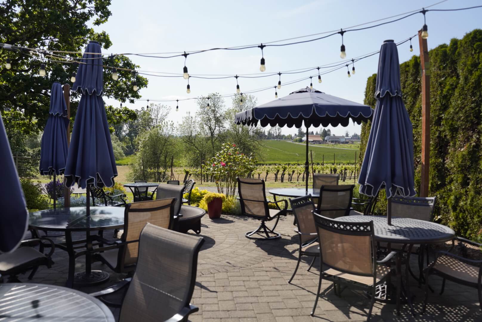 Outdoor patio with tables, chairs, and umbrellas overlooking a vineyard in Central Oregon.