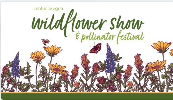 A vibrant illustration of wildflowers with bees and butterflies, advertising the Central Oregon Wildflower Show and Pollinator Festival in Central Oregon.