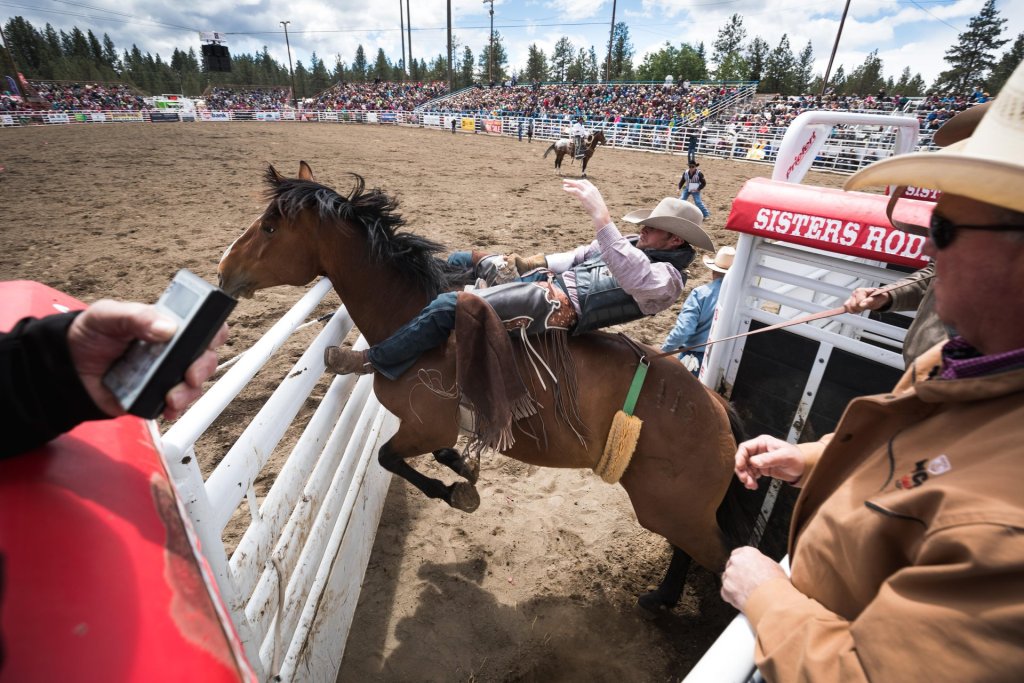 A cowboy is thrown from a bucking bronco during a rodeo event, while spectators watch from the stands in Central Oregon.