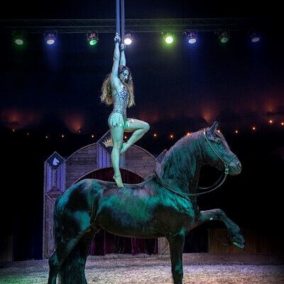 A skilled aerialist gracefully performs on silk ropes above a majestic black horse in a dimly lit circus ring in Central Oregon.