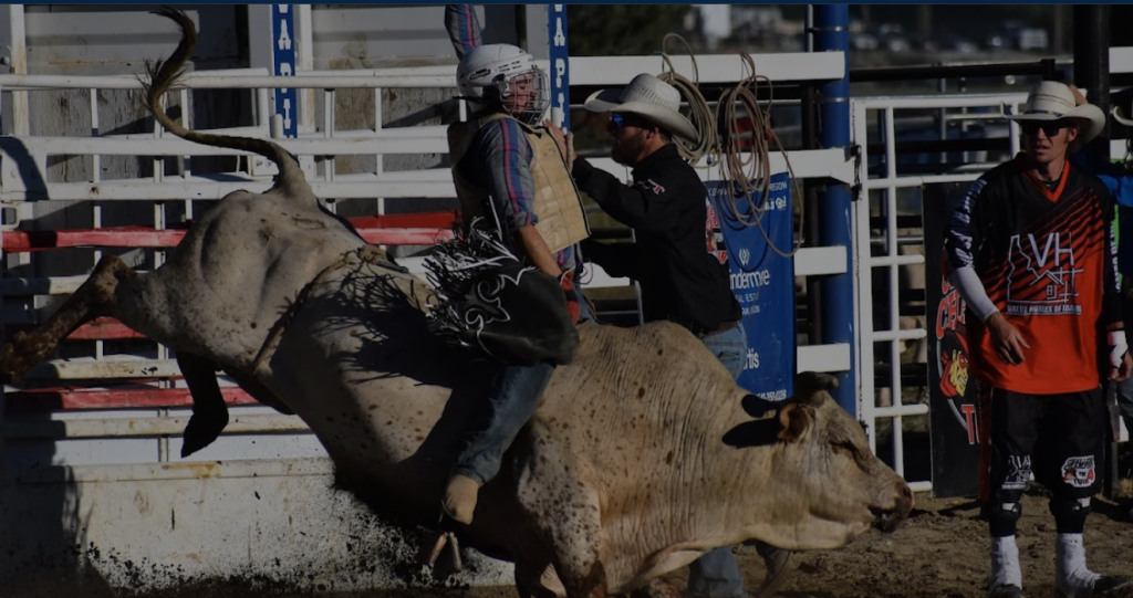 A bull rider is thrown off a bucking bull during a rodeo event, while spectators and rodeo clowns look on in Central Oregon.