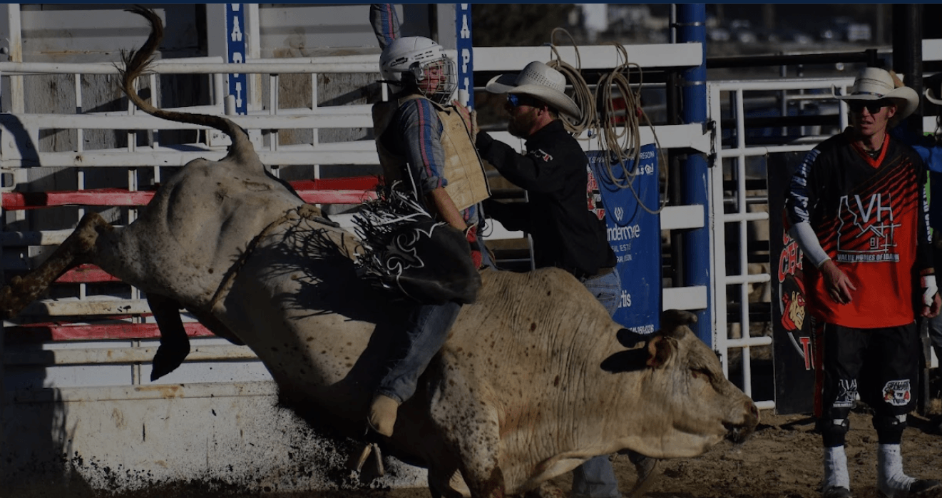 A bull rider is thrown off a bucking bull during a rodeo event, while spectators and rodeo clowns look on in Central Oregon.