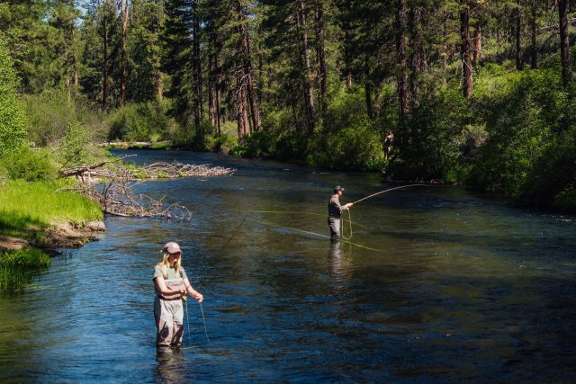 Two anglers wade in a clear, flowing river surrounded by a lush forest of tall pine trees in Central Oregon.