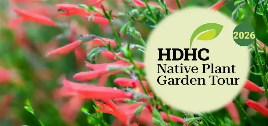 A vibrant garden filled with native red flowers and lush green foliage in Central Oregon.