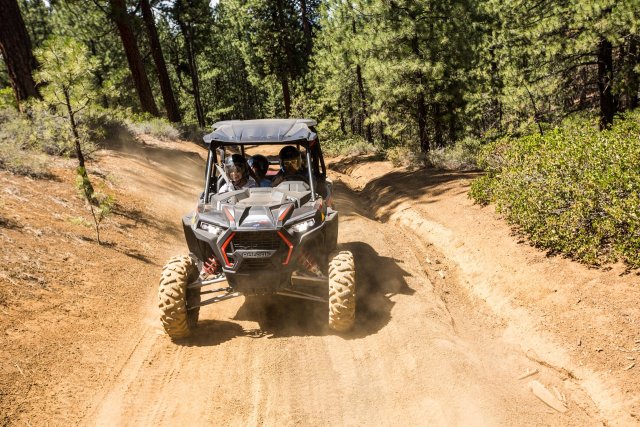 A group of three people enjoying an off-road adventure in a rugged, four-wheel-drive vehicle through a dusty, pine-forested trail in Central Oregon.