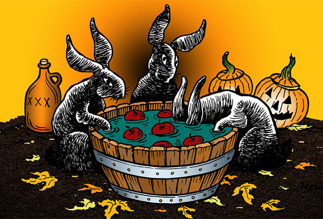 Three black rabbits bobbing for apples in a wooden barrel during Halloween in Central Oregon.
