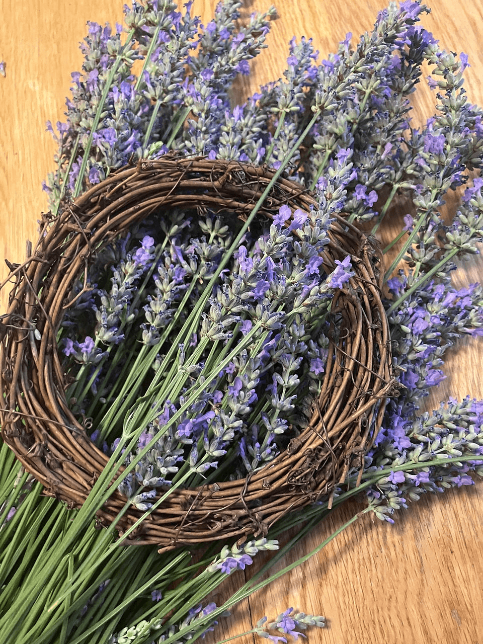 A small rustic twig wreath resting on a bundle of fresh lavender stems in Central Oregon.