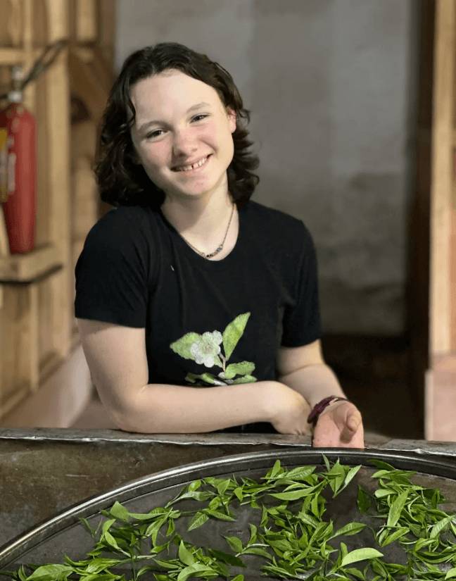 A smiling young person leans over a tray of fresh green tea leaves in Central Oregon.