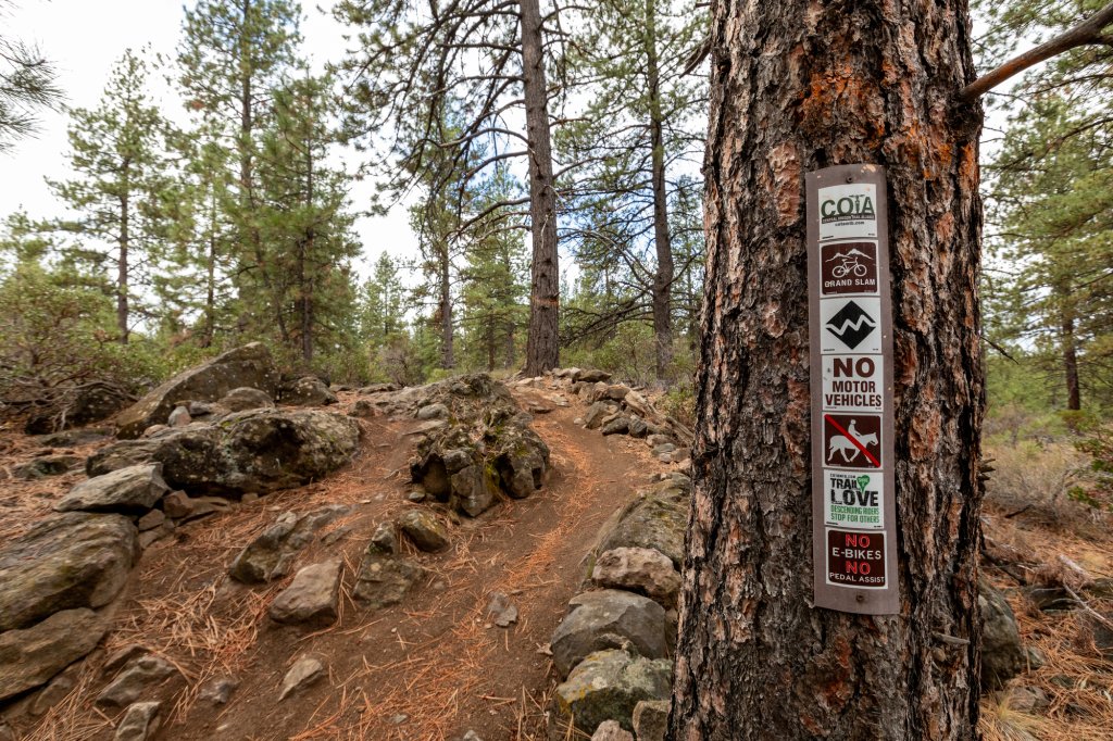 A trail sign attached to a pine tree in a forest in Central Oregon.