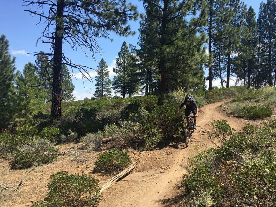A mountain biker rides along a dirt trail through a pine forest in Central Oregon.