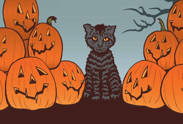A dark tabby cat sits surrounded by several carved jack-o'-lanterns in Central Oregon.