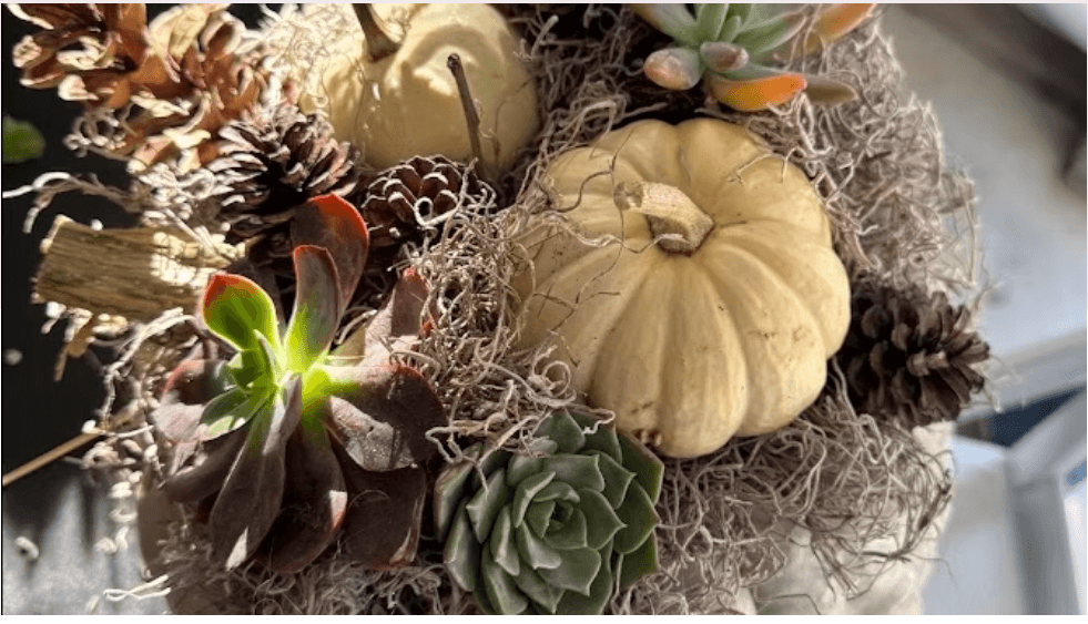 A decorative arrangement of small pumpkins, pinecones, and succulents nestled in Spanish moss in Central Oregon.