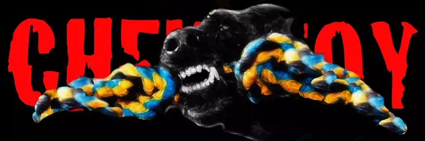 A black dog's snout holding a colorful braided rope toy against a red text background in Central Oregon.