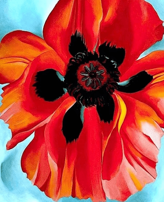 A vibrant red poppy flower with a dark center against a light blue background in Central Oregon.